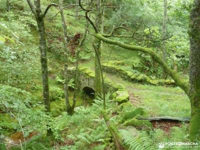 Valles Pasiegos;cola de caballo monasterio de piedra senderismo en cazorla bosque encantado asturias